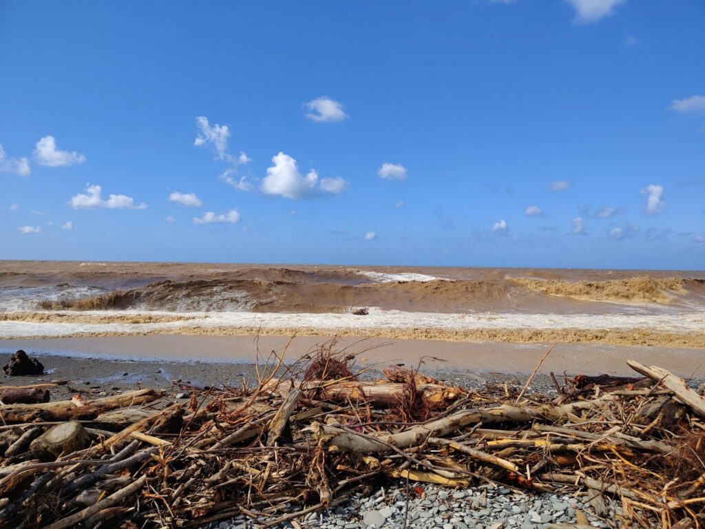 Biologist explains causes of severe sea pollution in Batumi