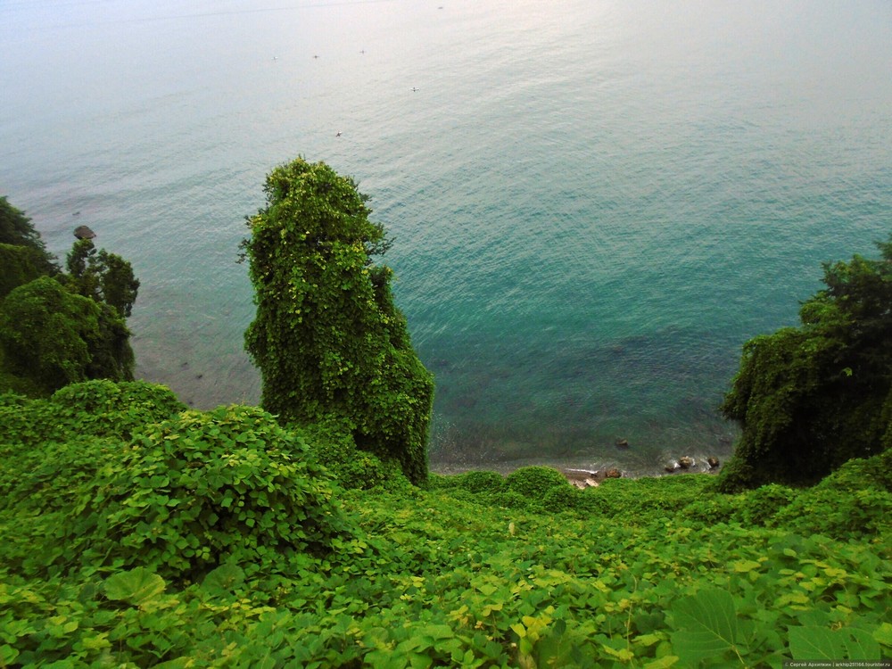 Batumi Botanical Garden