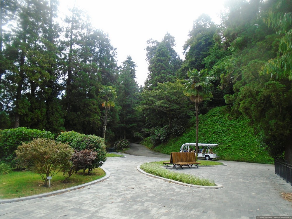 Batumi Botanical Garden
