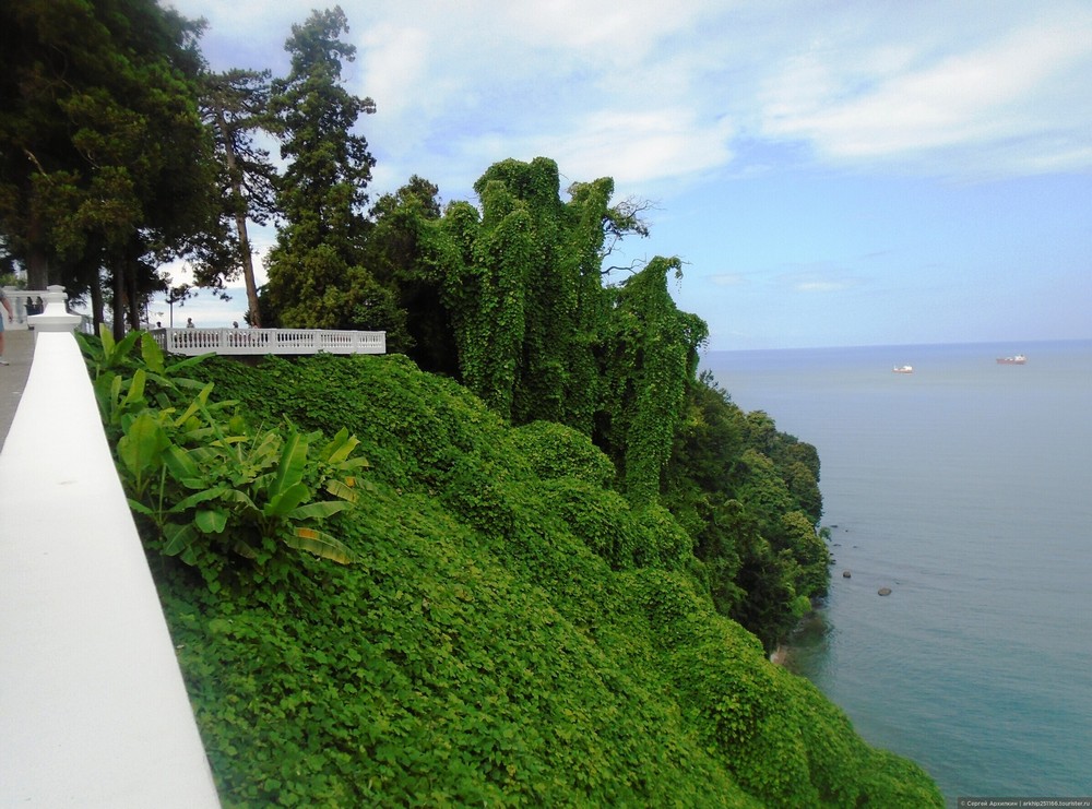 Batumi Botanical Garden