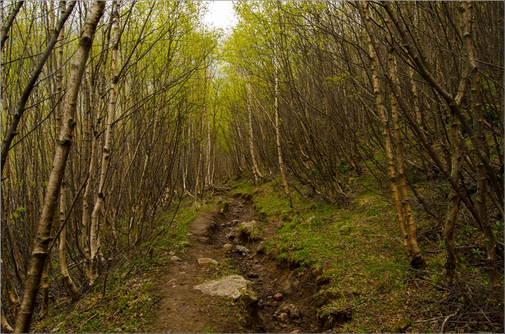Kazbegi Stepantsminda